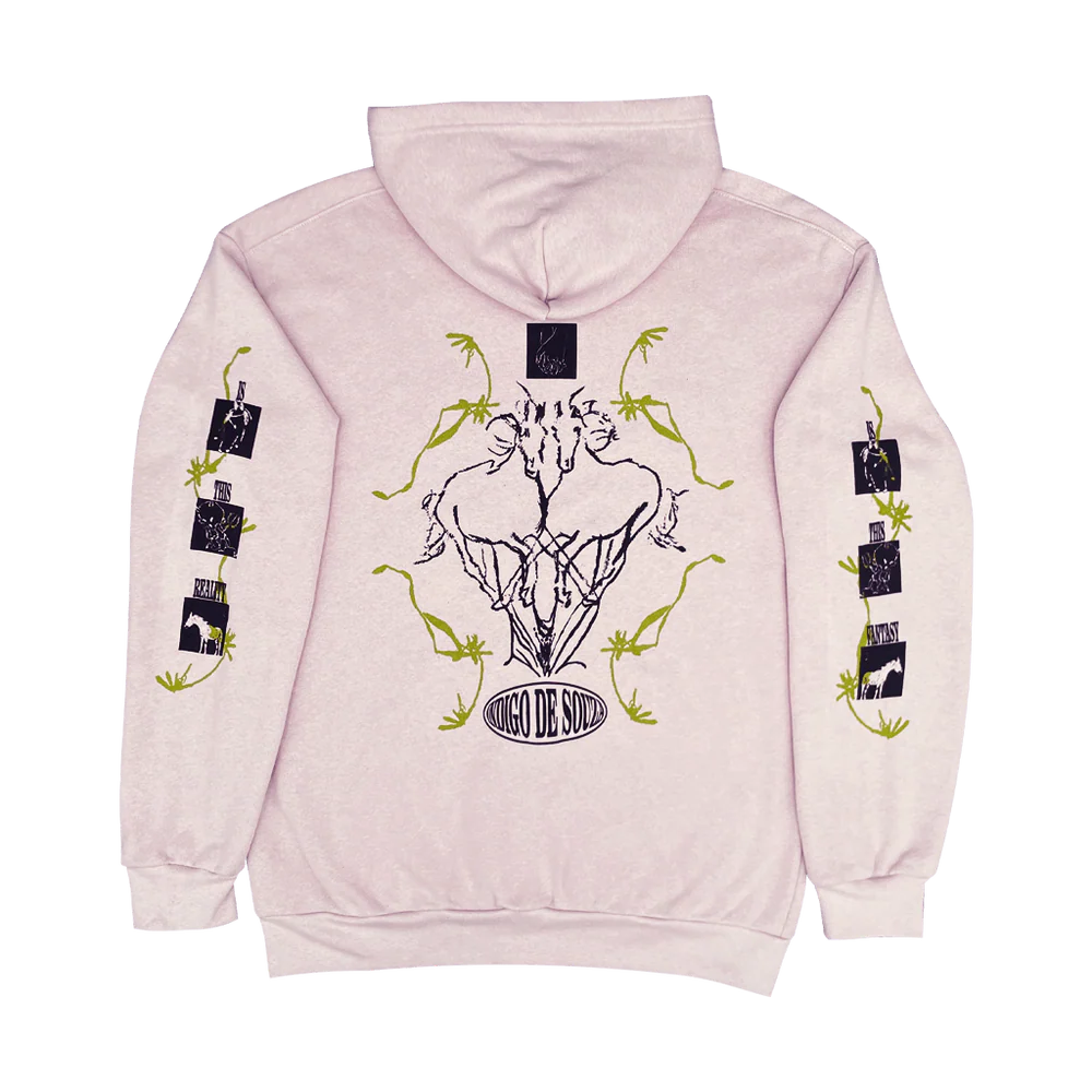 "Wholesome Evil Fantasy" Blush Hoodie