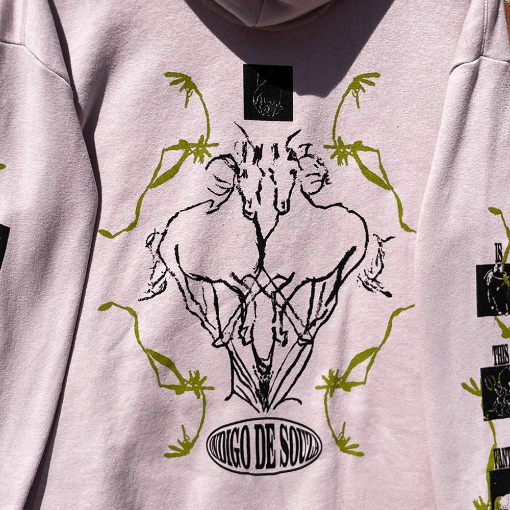 "Wholesome Evil Fantasy" Blush Hoodie